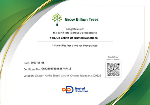 Gifting Trees, Growing Futures: Trusted Donations' Eco-Friendly Initiative – Planting