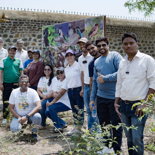 Pune Urban Forest - Koregaon Mul, Pune – Planting