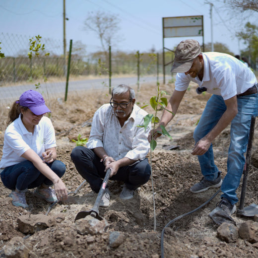 Pune Urban Forest - Koregaon Mul, Pune – Planting