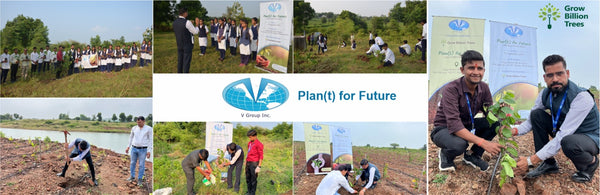 V Group’s Green Legacy: Sustainable Tree Planting for CSR in Siwai
