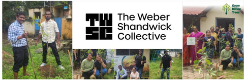 “Leafy Legacies: Weber Shandwick Bangalore’s Journey Toward Urban Sustainability”