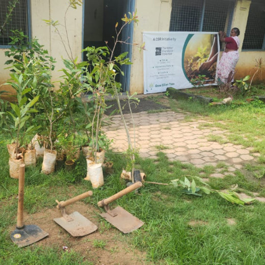 “Leafy Legacies: Weber Shandwick Bangalore’s Journey Toward Urban Sustainability” – Planting