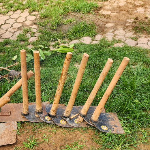 “Leafy Legacies: Weber Shandwick Bangalore’s Journey Toward Urban Sustainability” – Planting