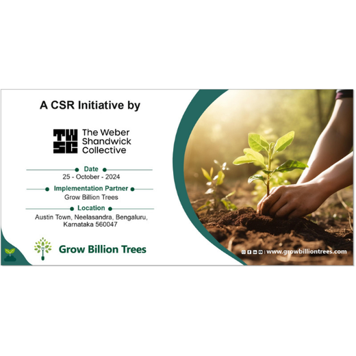“Leafy Legacies: Weber Shandwick Bangalore’s Journey Toward Urban Sustainability” – 6 months