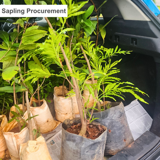 “Leafy Legacies: Weber Shandwick Bangalore’s Journey Toward Urban Sustainability” – Planting