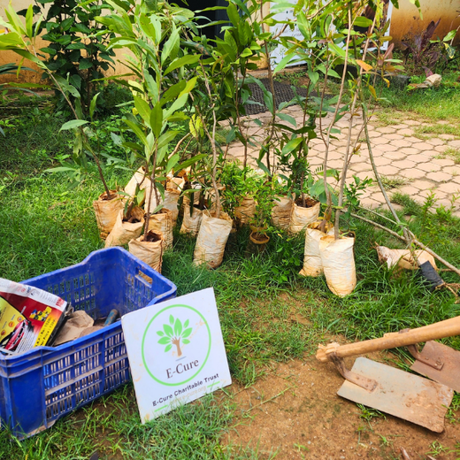 “Leafy Legacies: Weber Shandwick Bangalore’s Journey Toward Urban Sustainability” – Planting