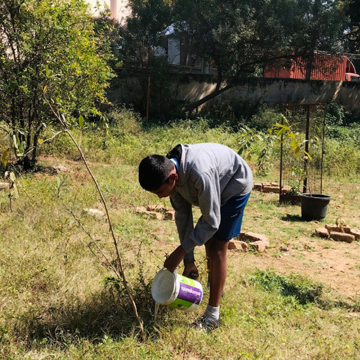 “Leafy Legacies: Weber Shandwick Bangalore’s Journey Toward Urban Sustainability” – 6 months