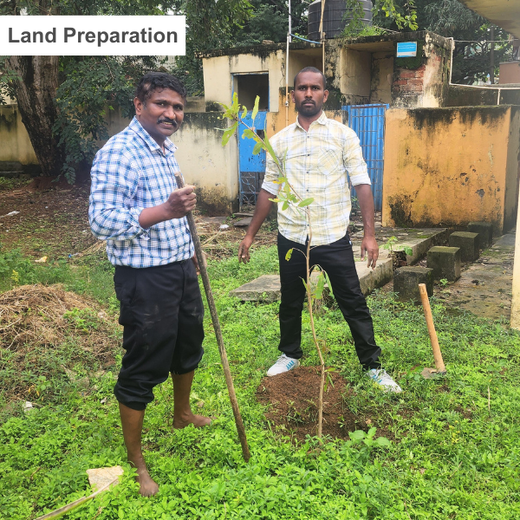 “Leafy Legacies: Weber Shandwick Bangalore’s Journey Toward Urban Sustainability” – Planting