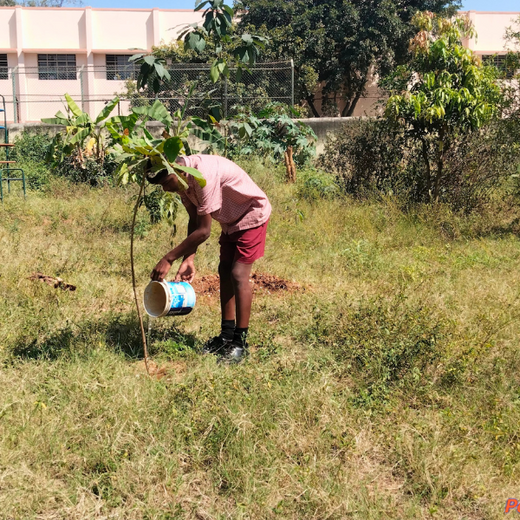 “Leafy Legacies: Weber Shandwick Bangalore’s Journey Toward Urban Sustainability” – 6 months