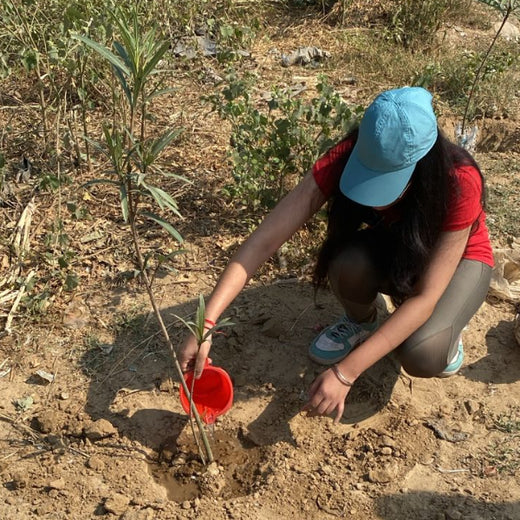 "Weber Shandwick Gurugram: Cultivating Urban Forests for Employee Bonding" – 6 months
