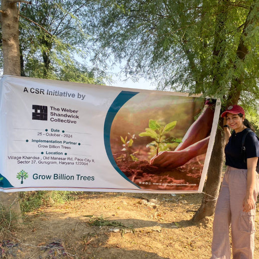 "Weber Shandwick Gurugram: Cultivating Urban Forests for Employee Bonding" – 6 months