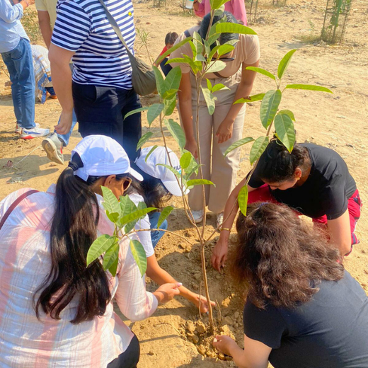 "Weber Shandwick Gurugram: Cultivating Urban Forests for Employee Bonding" – 6 months