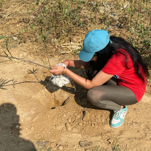 "Weber Shandwick Gurugram: Cultivating Urban Forests for Employee Bonding" – 6 months
