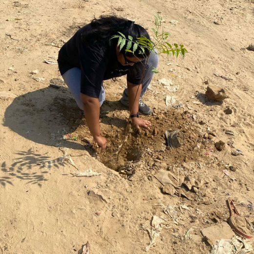 "Weber Shandwick Gurugram: Cultivating Urban Forests for Employee Bonding" – 6 months