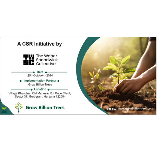 "Weber Shandwick Gurugram: Cultivating Urban Forests for Employee Bonding" – 6 months