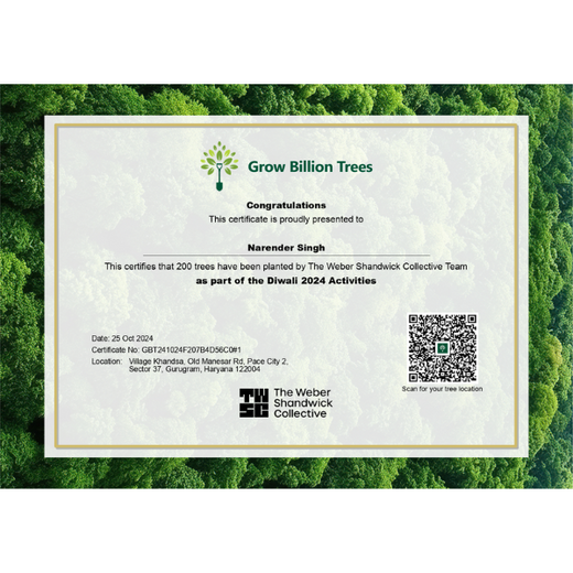 "Weber Shandwick Gurugram: Cultivating Urban Forests for Employee Bonding" – 6 months