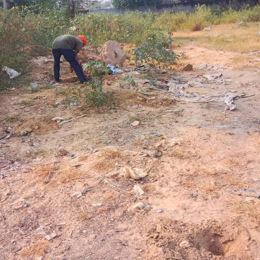 "Weber Shandwick Gurugram: Cultivating Urban Forests for Employee Bonding" – Planting