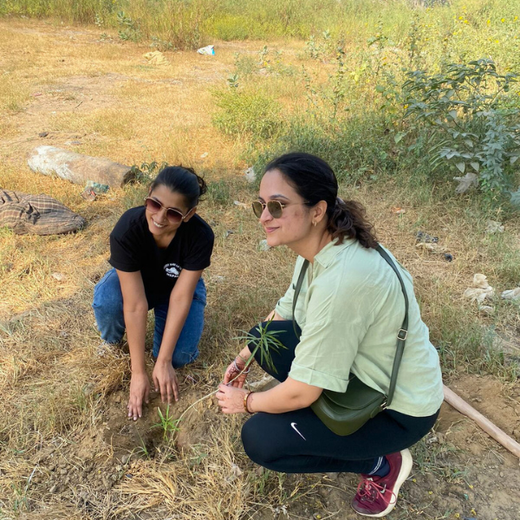 "Weber Shandwick Gurugram: Cultivating Urban Forests for Employee Bonding" – 6 months