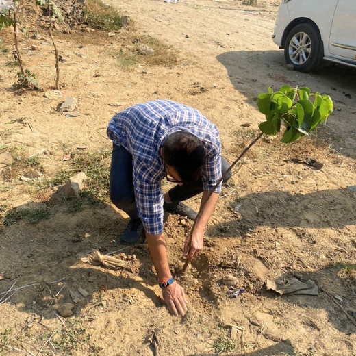 "Weber Shandwick Gurugram: Cultivating Urban Forests for Employee Bonding" – 6 months