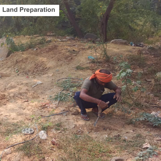 "Weber Shandwick Gurugram: Cultivating Urban Forests for Employee Bonding" – Planting