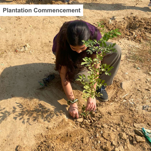 "Weber Shandwick Gurugram: Cultivating Urban Forests for Employee Bonding" – 6 months
