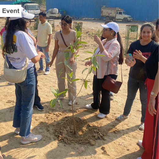 "Weber Shandwick Gurugram: Cultivating Urban Forests for Employee Bonding" – 6 months