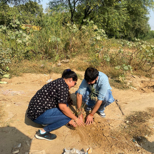 "Weber Shandwick Gurugram: Cultivating Urban Forests for Employee Bonding" – 6 months