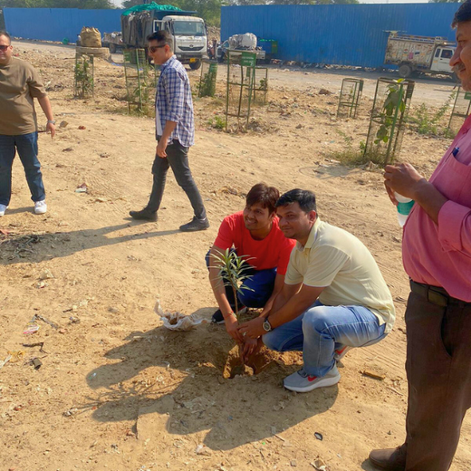 "Weber Shandwick Gurugram: Cultivating Urban Forests for Employee Bonding" – 6 months