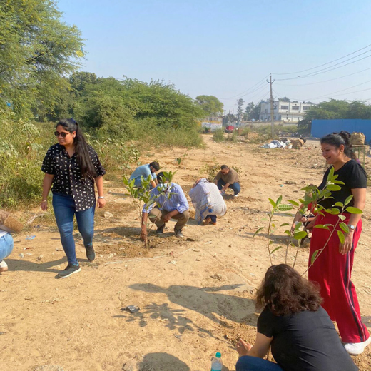 "Weber Shandwick Gurugram: Cultivating Urban Forests for Employee Bonding" – 6 months