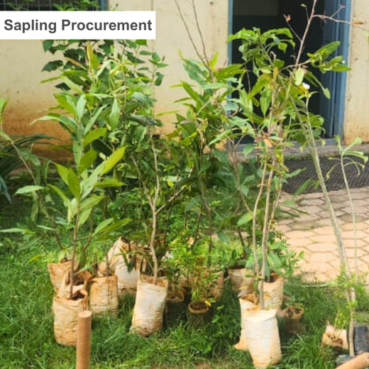 "Urban Green, Team Spirit: Weber Shandwick Mumbai’s Tree Plantation Initiative" – Planting