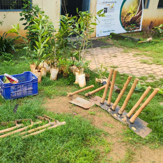 "Urban Green, Team Spirit: Weber Shandwick Mumbai’s Tree Plantation Initiative" – Planting