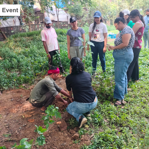 "Urban Green, Team Spirit: Weber Shandwick Mumbai’s Tree Plantation Initiative" – Planting