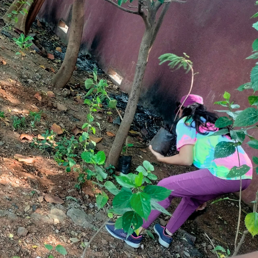 "Urban Green, Team Spirit: Weber Shandwick Mumbai’s Tree Plantation Initiative" – Planting