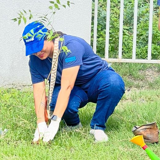 From Office to Oasis: Wipfli’s Employee-Led Urban Forest Initiative – Planting