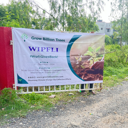 From Office to Oasis: Wipfli’s Employee-Led Urban Forest Initiative – Planting