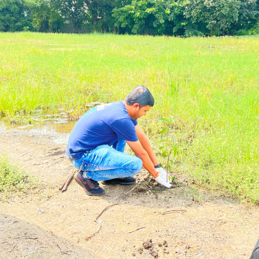 From Office to Oasis: Wipfli’s Employee-Led Urban Forest Initiative – Planting