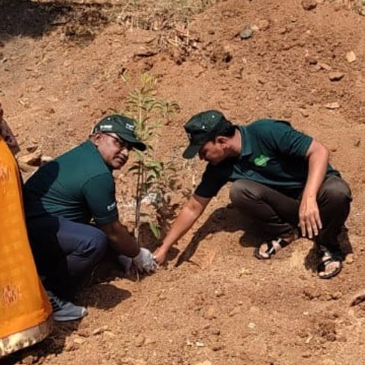 "Green Bonds: BASF/V5 Events Fosters Employee Unity Through Urban Tree Plantation" – Planting