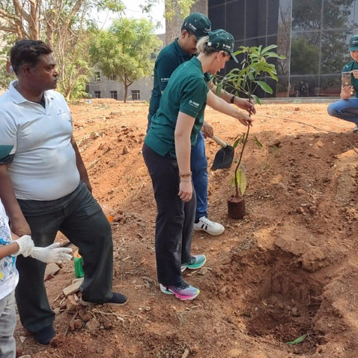"Green Bonds: BASF/V5 Events Fosters Employee Unity Through Urban Tree Plantation" – Planting