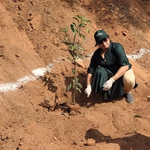 "Green Bonds: BASF/V5 Events Fosters Employee Unity Through Urban Tree Plantation" – Planting
