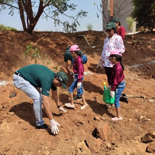 "Green Bonds: BASF/V5 Events Fosters Employee Unity Through Urban Tree Plantation" – Planting