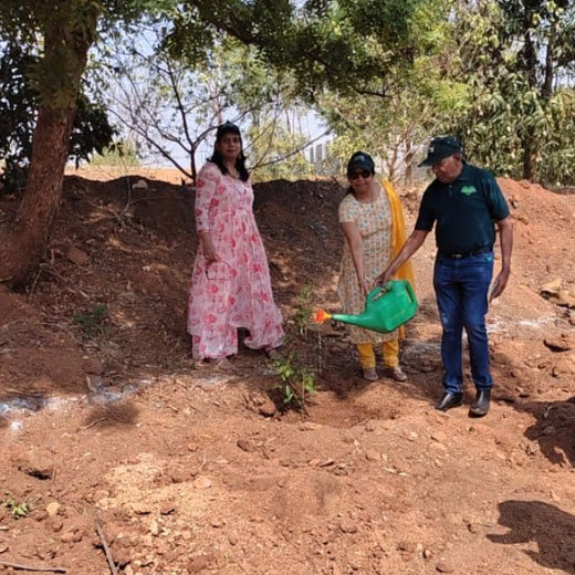 "Green Bonds: BASF/V5 Events Fosters Employee Unity Through Urban Tree Plantation" – Planting