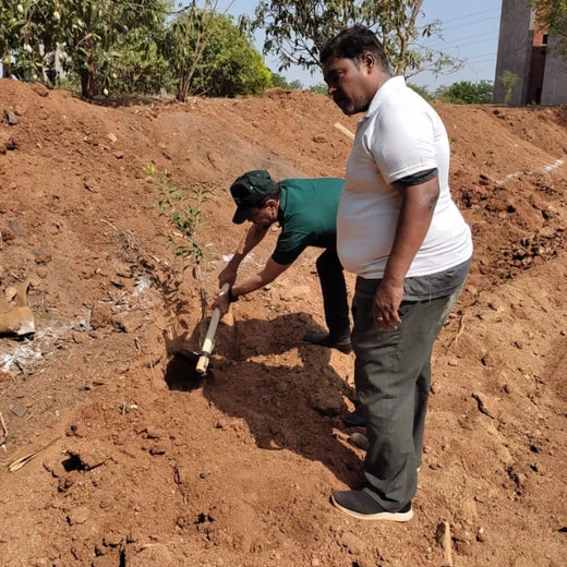 "Green Bonds: BASF/V5 Events Fosters Employee Unity Through Urban Tree Plantation" – Planting