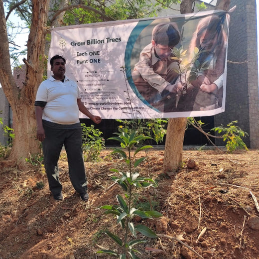 "Green Bonds: BASF/V5 Events Fosters Employee Unity Through Urban Tree Plantation" – Planting