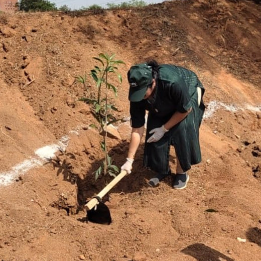 "Green Bonds: BASF/V5 Events Fosters Employee Unity Through Urban Tree Plantation" – Planting