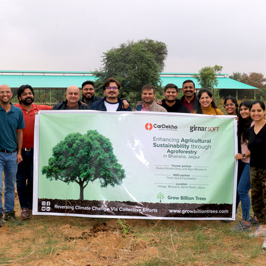 Trees for Tomorrow: Girnar Soft’s Sustainable Agriculture Initiative – Planting