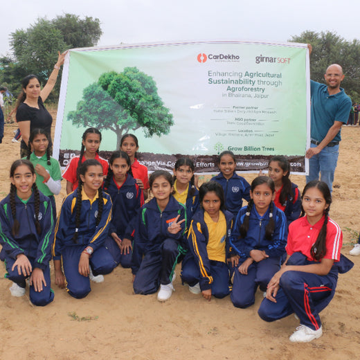 Trees for Tomorrow: Girnar Soft’s Sustainable Agriculture Initiative – Planting