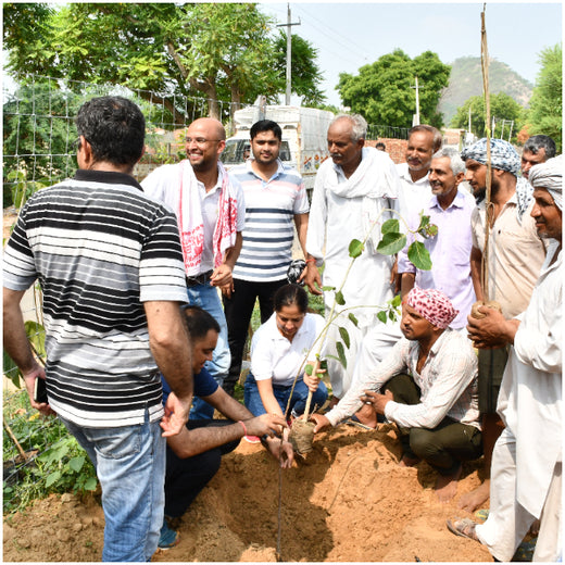 Reliance Industries Initiative: Community Tree Plantation for a Greener Future – 6 months