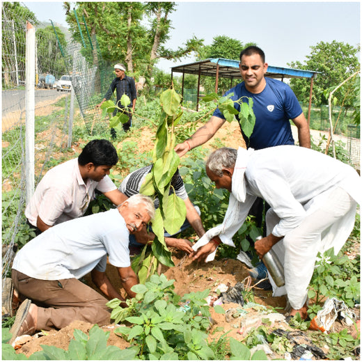Reliance Industries Initiative: Community Tree Plantation for a Greener Future – 6 months