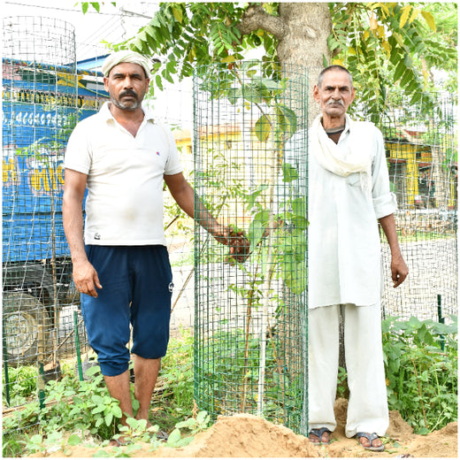 Reliance Industries Initiative: Community Tree Plantation for a Greener Future – 6 months