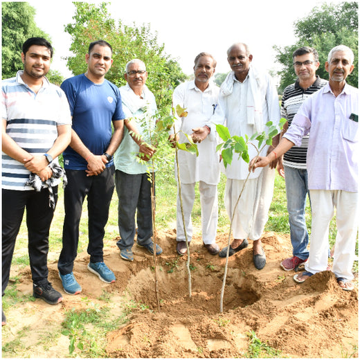 Reliance Industries Initiative: Community Tree Plantation for a Greener Future – 6 months